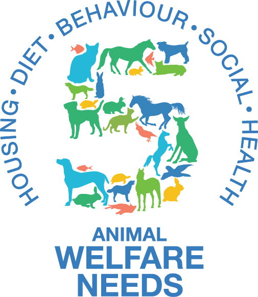 Coalition campaign to help promote welfare needs to pet owners | Vet Times