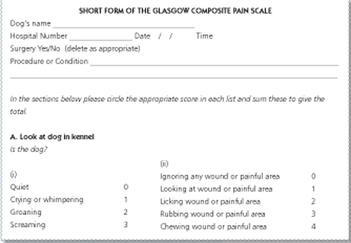 reviewing-pain-assessment-and-scoring-models-in-cats-and-dogs-part