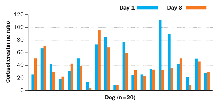 prednisone dogs price comparison