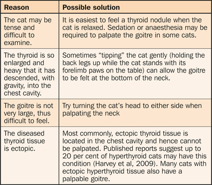 Feline Hyperthyroidism: Common Signs And Advances In Diagnostic ...