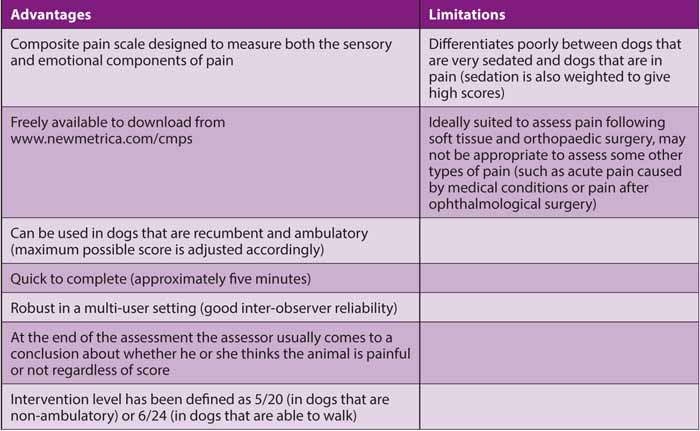 Managing postoperative pain in companion animals | Vet Times