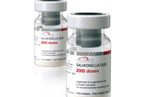 New Salmonella vaccine offers double protection for poultry | Vet Times