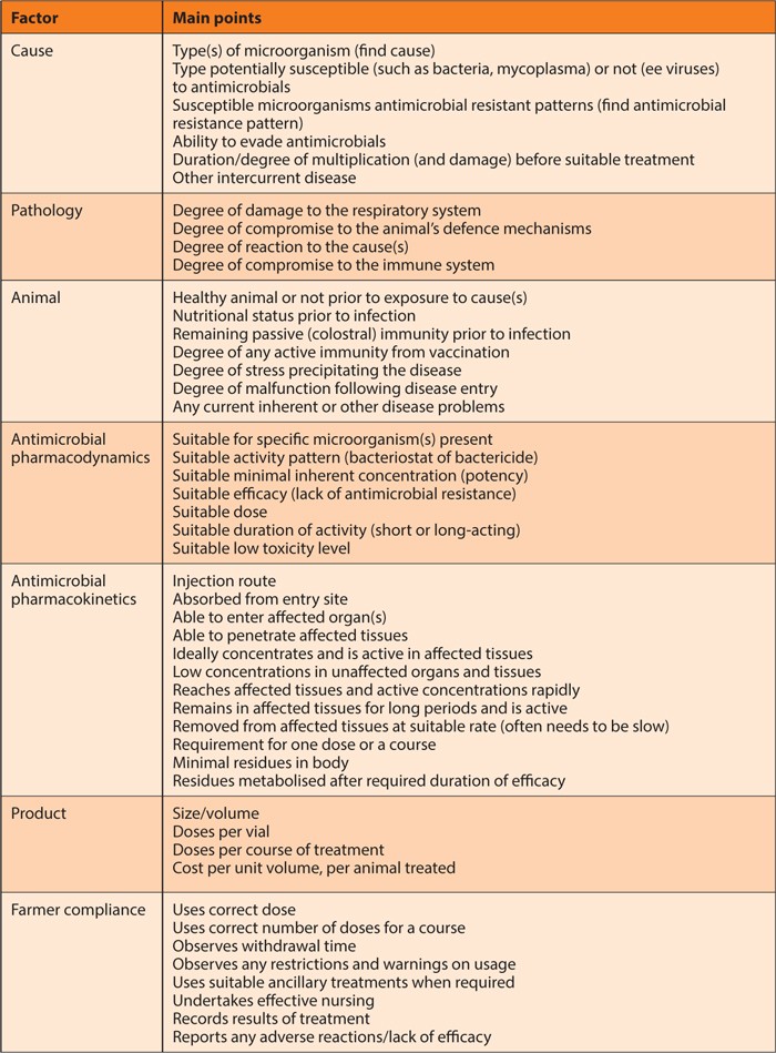 Choices around treatment of calf respiratory disease | Vet Times