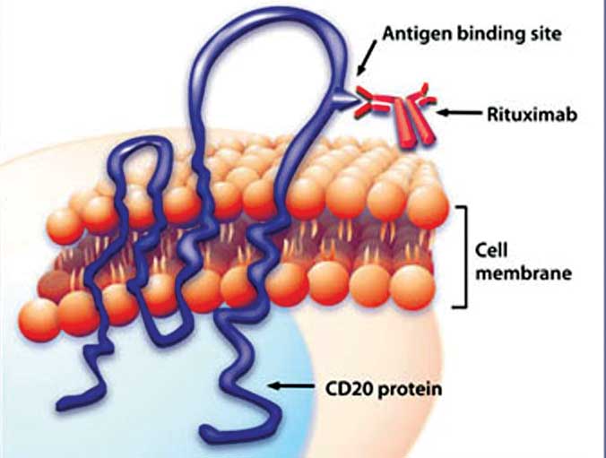 new-treatments-for-cancer-vet-times