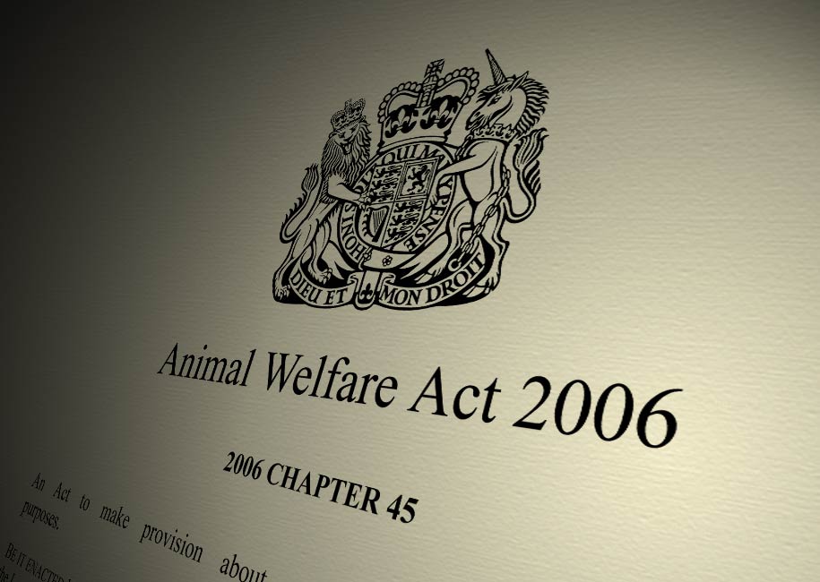 What Is The Animal Welfare Act 2006