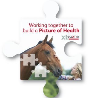 VT4633-Hunter-Picture-of-Health-Icon