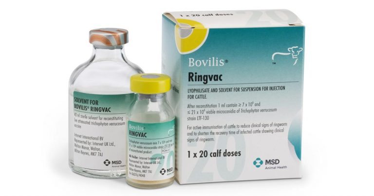 Ringworm vaccine sales for cats