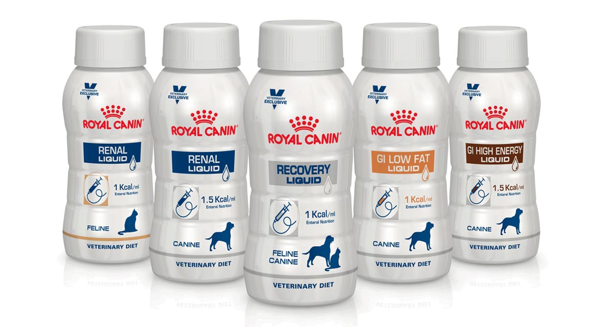 Recovery royal sale canin liquid