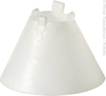 elizabethan-collar_Fotolia_Winai-Tepsuttinun