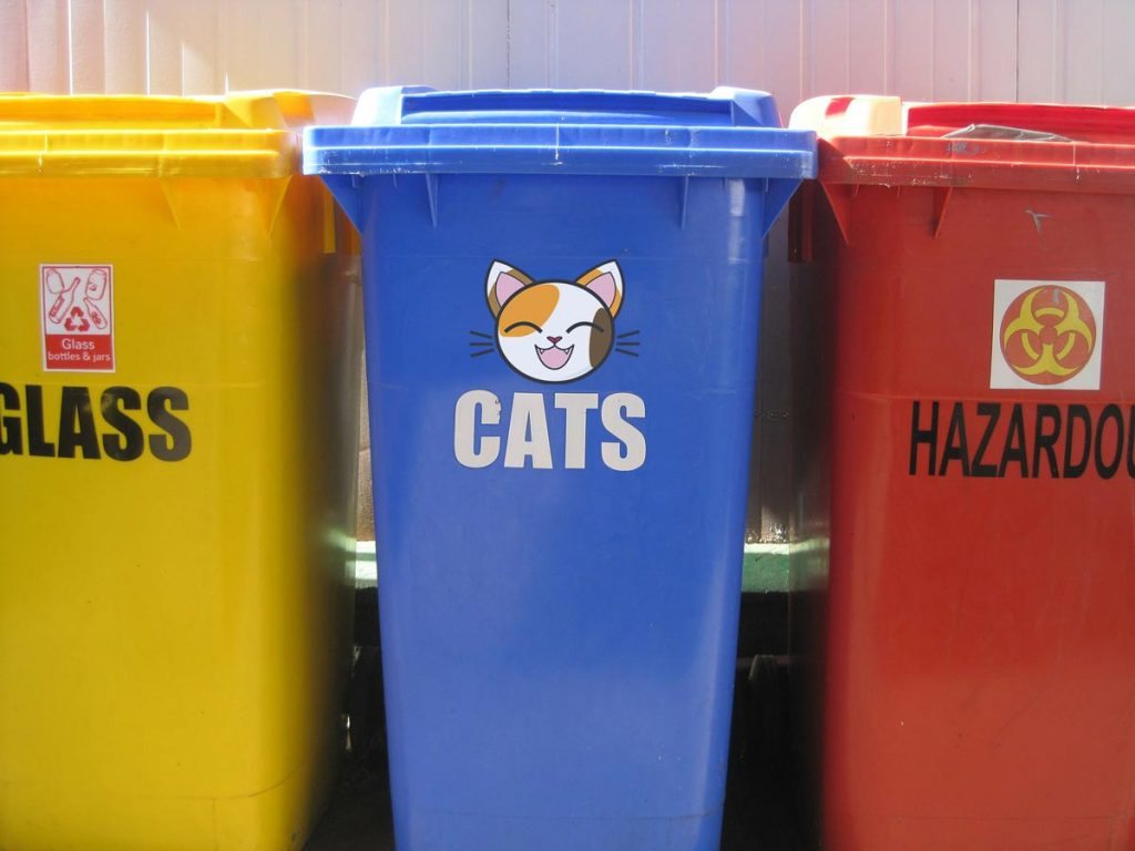 cat bin