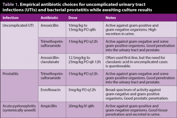 Table 1. Empirical antibiotic choices for uncomplicated urinary tract infections (UTIs) and bacterial prostatitis while awaiting culture results.