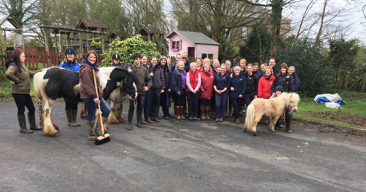 dogs trust castration