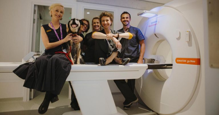 24-hour animal hospital opens its doors | Vet Times