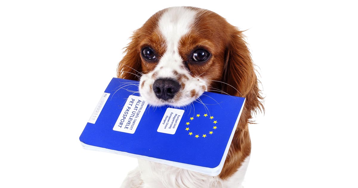 eu animal passport