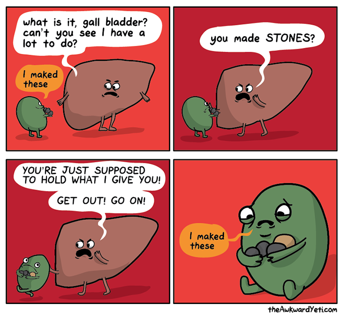 Gall bladder cartoon