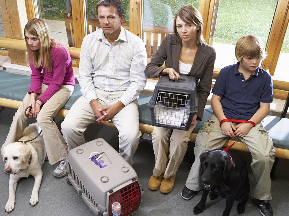 Clients in waiting room. Image © Monkey Business / Adobe Stock