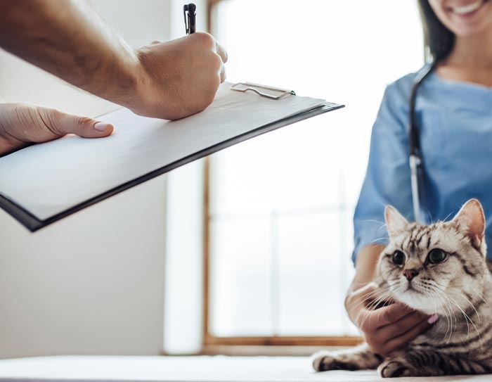 Vet with clipboard and cat.