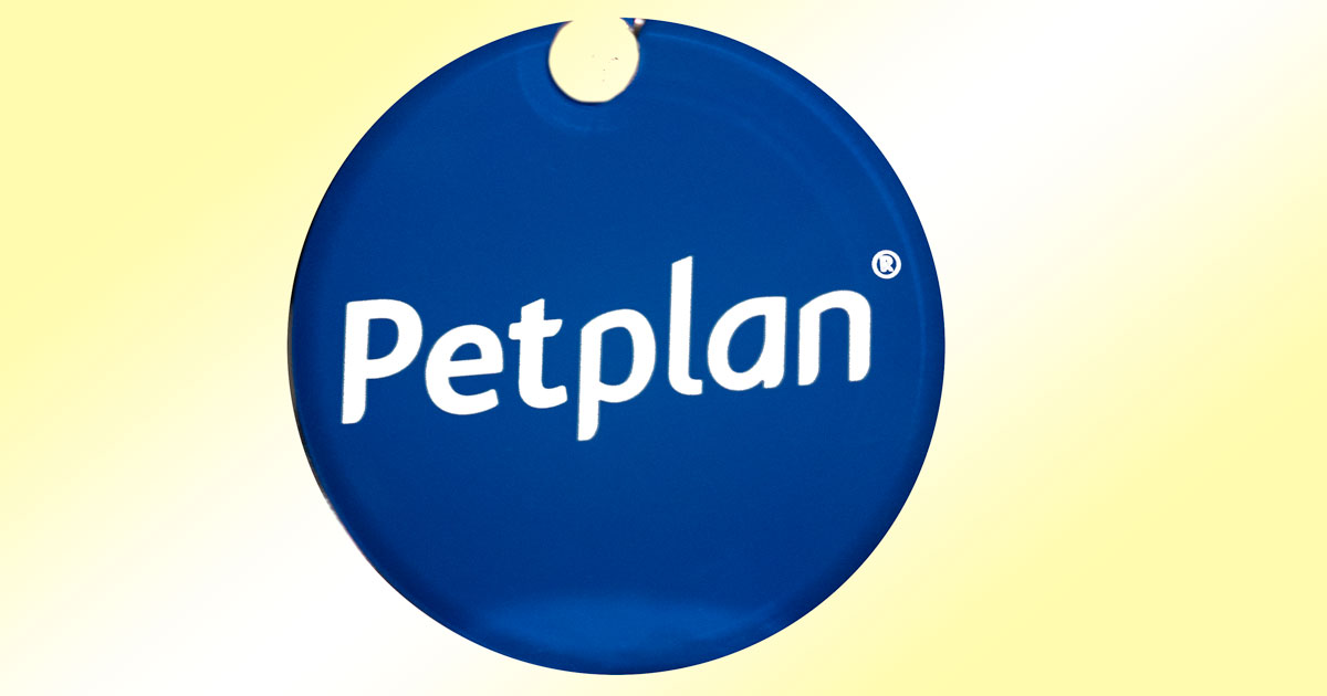 Petplan log online in