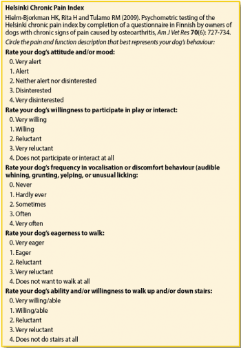 The Helsinki chronic pain index. Adapted from a page from the Helsinki chronic pain scale.
