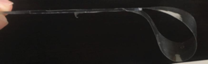 Figure 2b. When sampling with acetate tape for cytology make a loop with the tape at the end of the slide for easy staining.