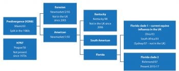 Figure 1. Equine influenza lineage, including recent outbreak dates.