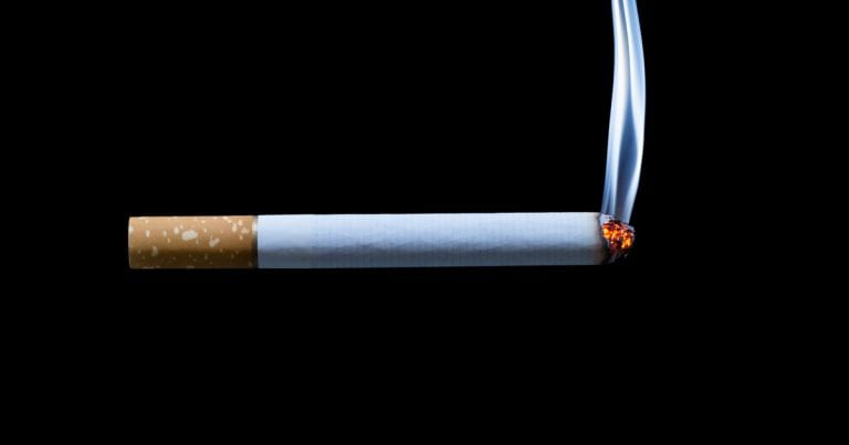 Passive smoking poses pet health concerns – research | Vet Times