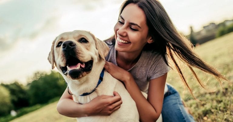 Pet-human bond innovation competition opens | Vet Times