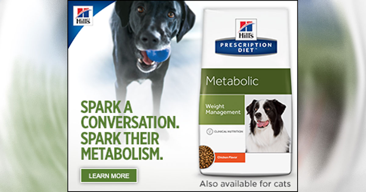 Wondering About Solutions To Better Fight Pet Obesity Vet Times