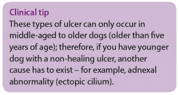 Tip6
