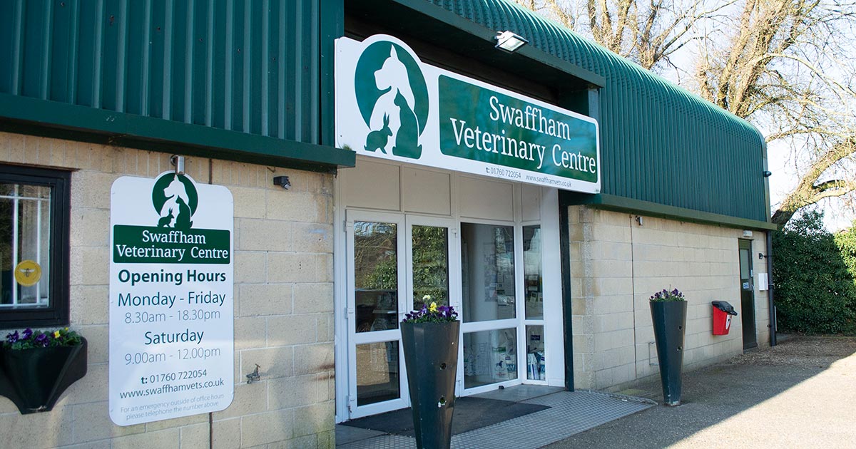 Vet centre cheap