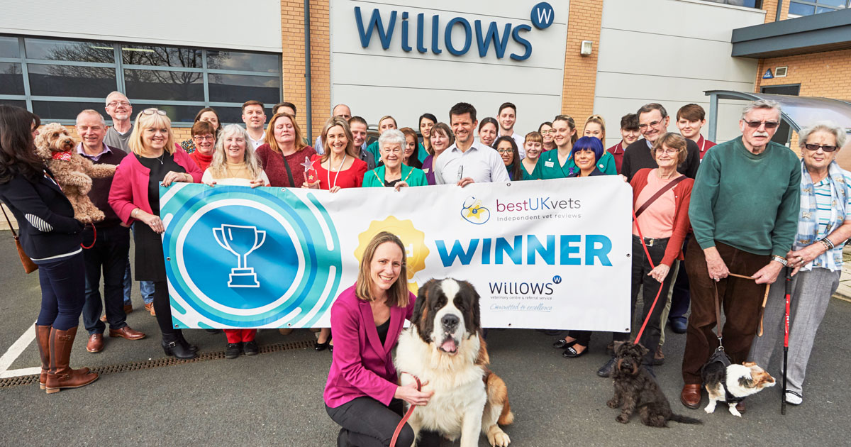 the willows vets