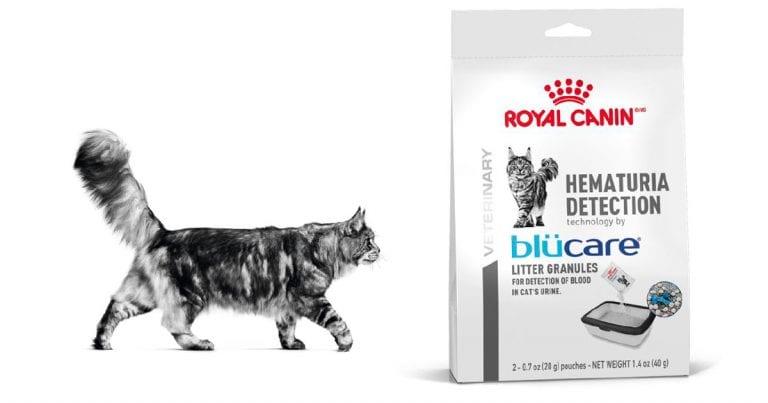 royal canin hematuria detection