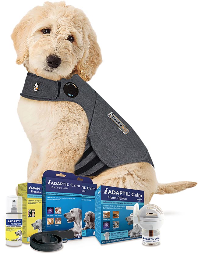 Ceva 2024 dog products