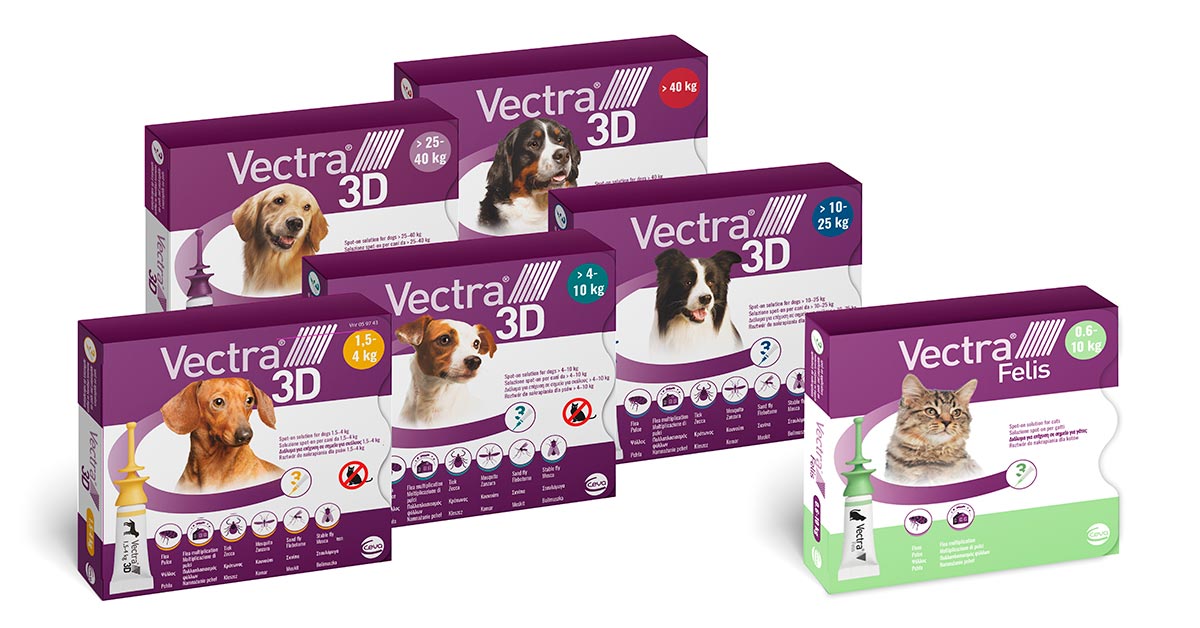 vectra spot on for dogs