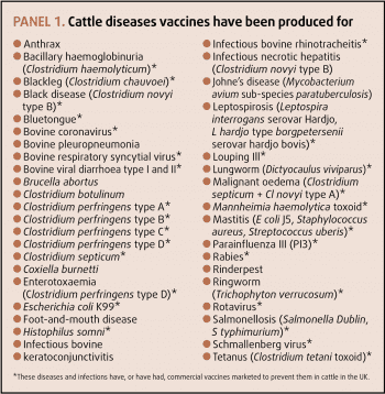 Panel 1. Cattle diseases vaccines have been produced for