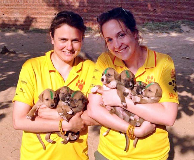 Samantha’s friends and former colleagues Lisa Angus and Louise Scott volunteering for Mission Rabies in Malawi.