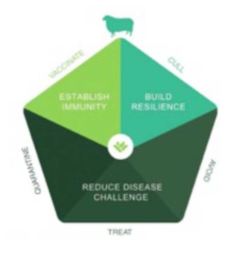 Summary of the Five-Point Plan8.