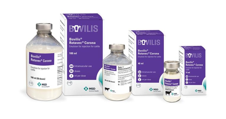 New packaging for calf scour vaccine | Vet Times