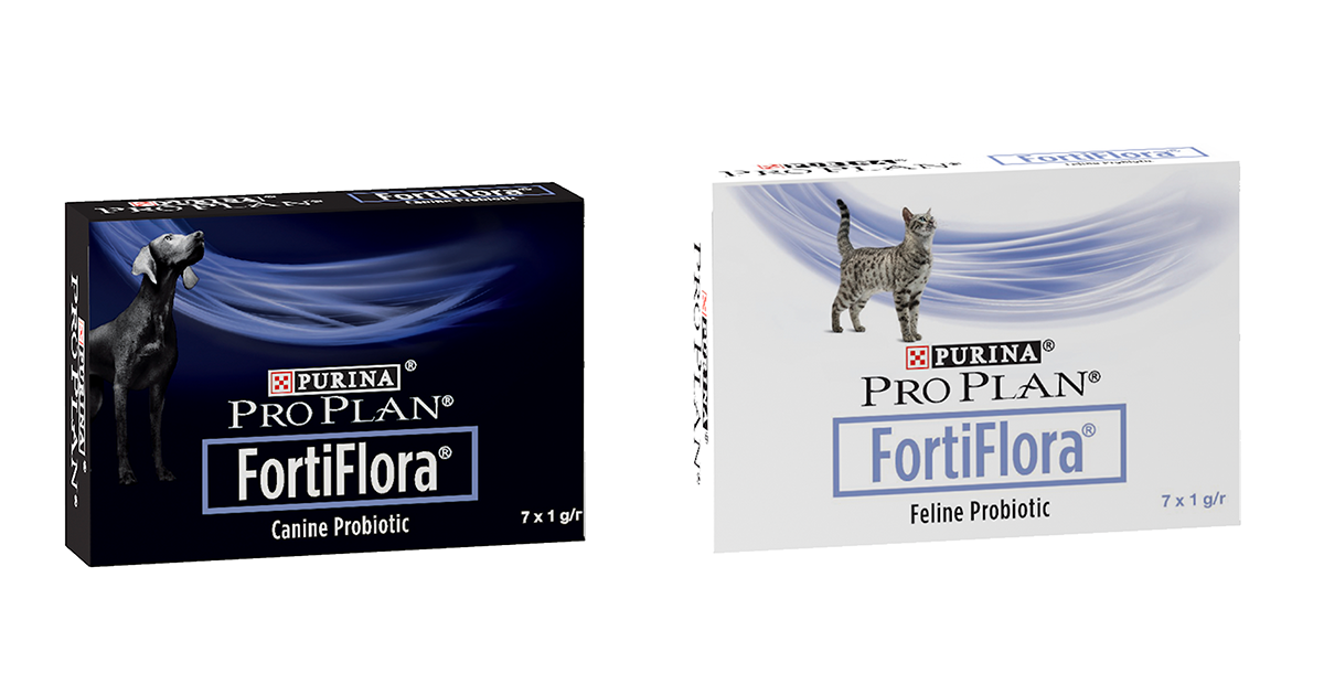 Fortiflora for cats outlet uk