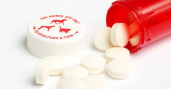 drugs vet medicine veterinary treatmentImage: © Larry Allen / Adobe Stock