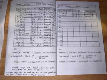 An example of a home monitoring sheet. Different formats can be used: some owners prefer Excel spreadsheets, others handwritten versions, as shown.