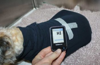 A body stocking, old t-shirt or baby grower is used to cover the sensor. Readings can then be taken with a dedicated reader as shown, or a smartphone.