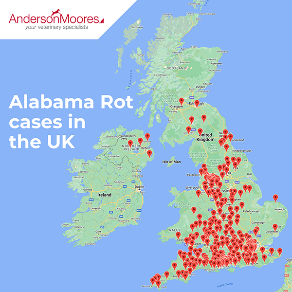 Live Map Of Alabama Rot Cases   Alabama Rot Map 