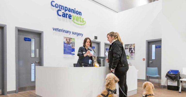 Companion sales vet care