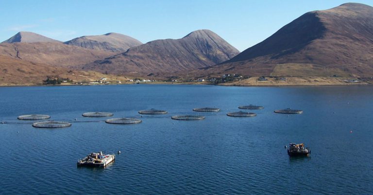 SRUC programme to upskill seafood sector | Vet Times