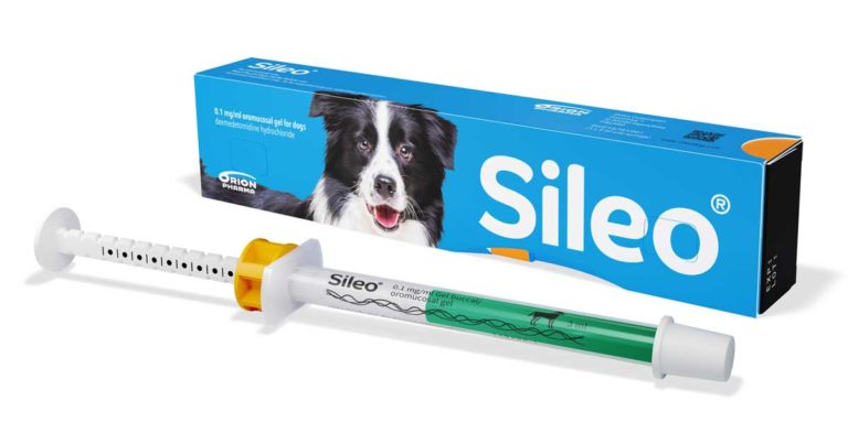 Dog noise sale phobia medication