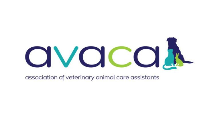 New survey of VCA roles launches | Vet Times