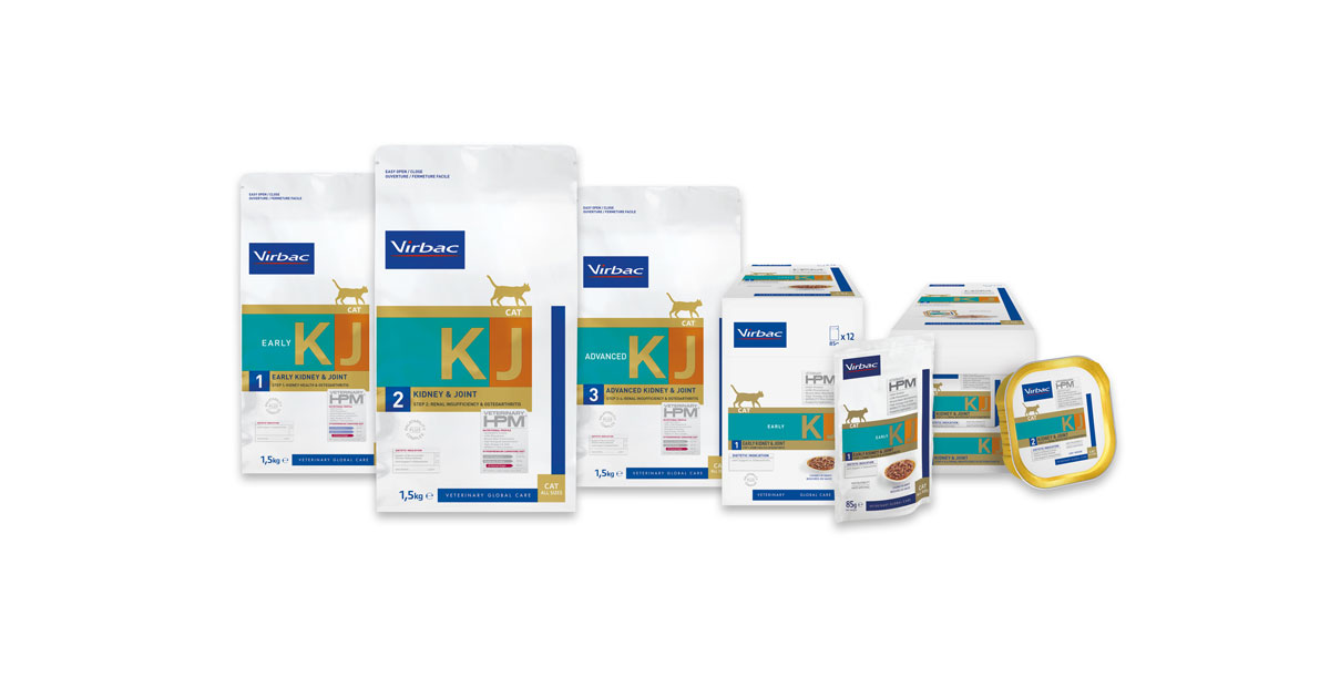 Clinical diets to help chronic kidney disease and OA launch for cats Vet Times
