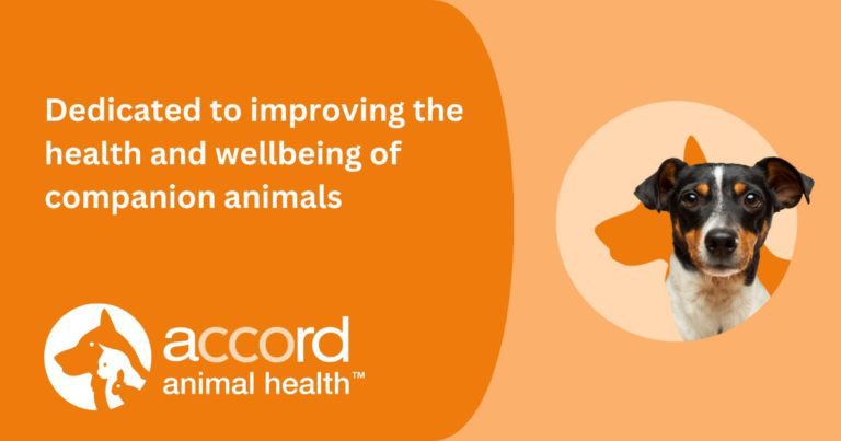 sponsored Accord Animal Health: your companion in companion animal care ...