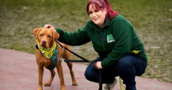 Lynsey McGreavey and her red Labrador Toffee, aged two.